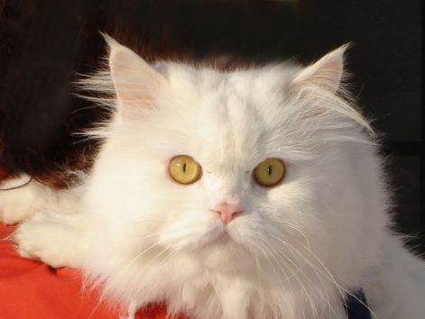 131.jpg
