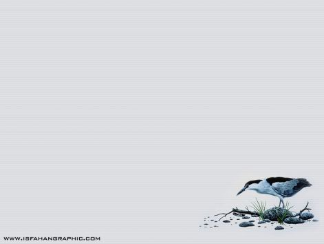 bird_20.jpg