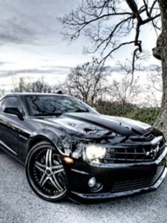 camaro_eye.jpg