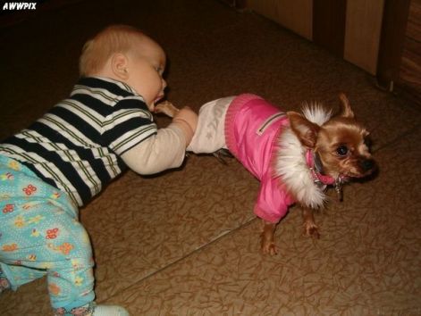 cute_pictures_8110.jpg