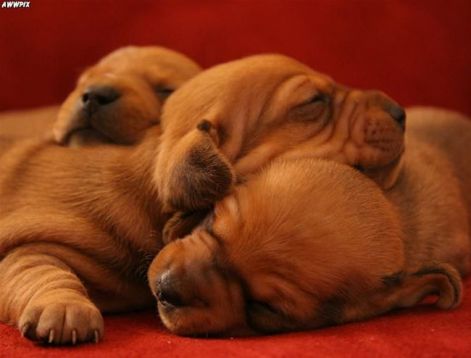 cute_pictures_8114.jpg