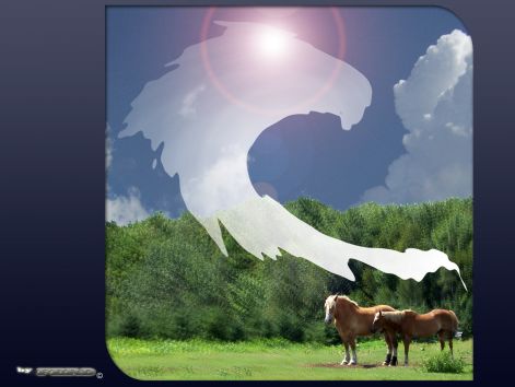 horse_15.jpg